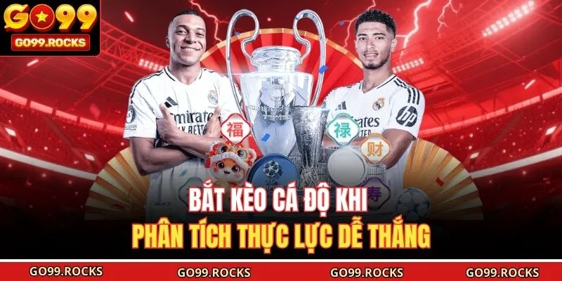 Bắt kèo cá độ khi phân tích thực lực dễ thắng