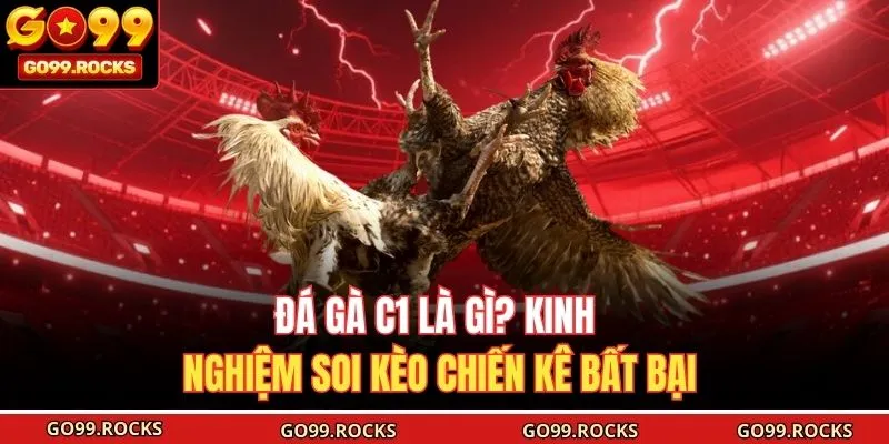 Đá Gà C1 Là Gì? Kinh Nghiệm Soi Kèo Chiến Kê Bất Bại