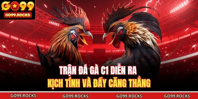 Trận đá gà C1 diễn ra kịch tính và đầy căng thẳng 