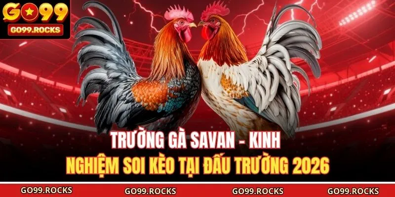 Trường Gà Savan - Kinh Nghiệm Soi Kèo Tại Đấu Trường 2026